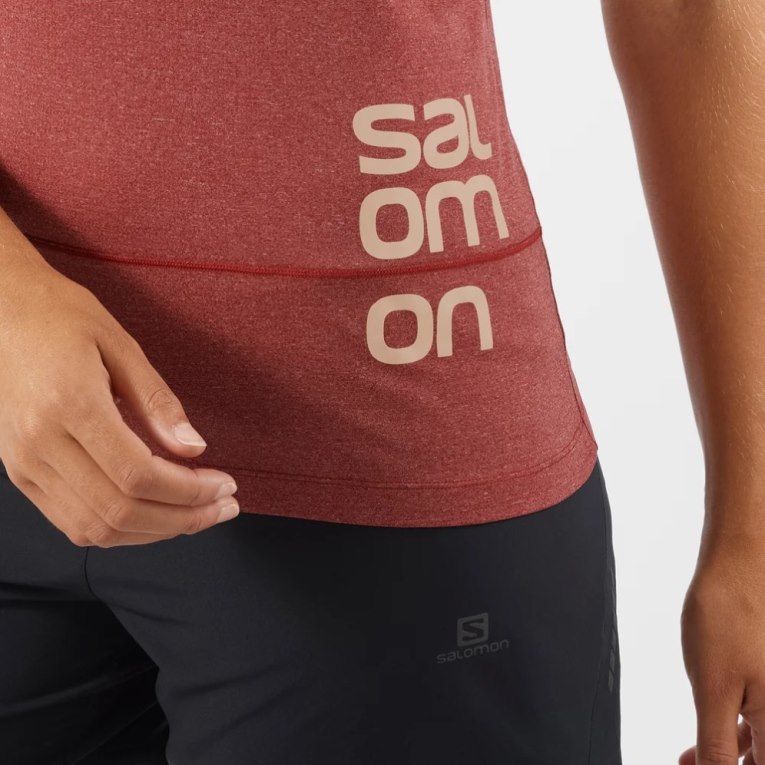 Camiseta Salomon Cross Run Gráficas Curta Sleeve Feminino Vermelhas | PT M62408